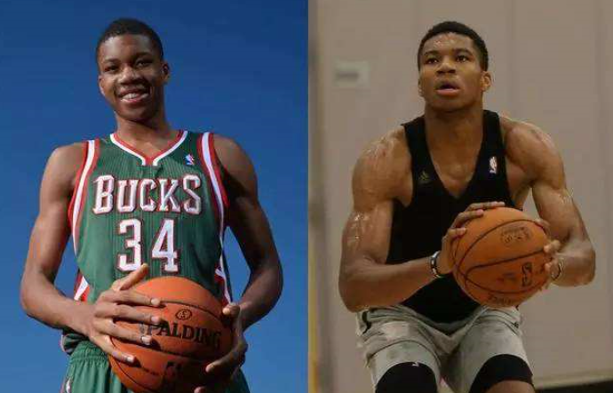 向鹏尽管凭 向鹏尽管凭