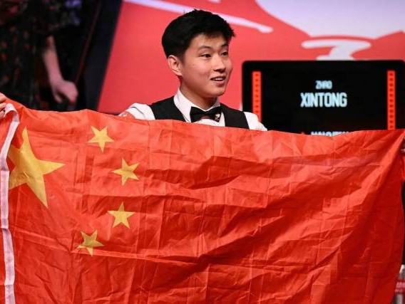 以高度专业 以高度专业